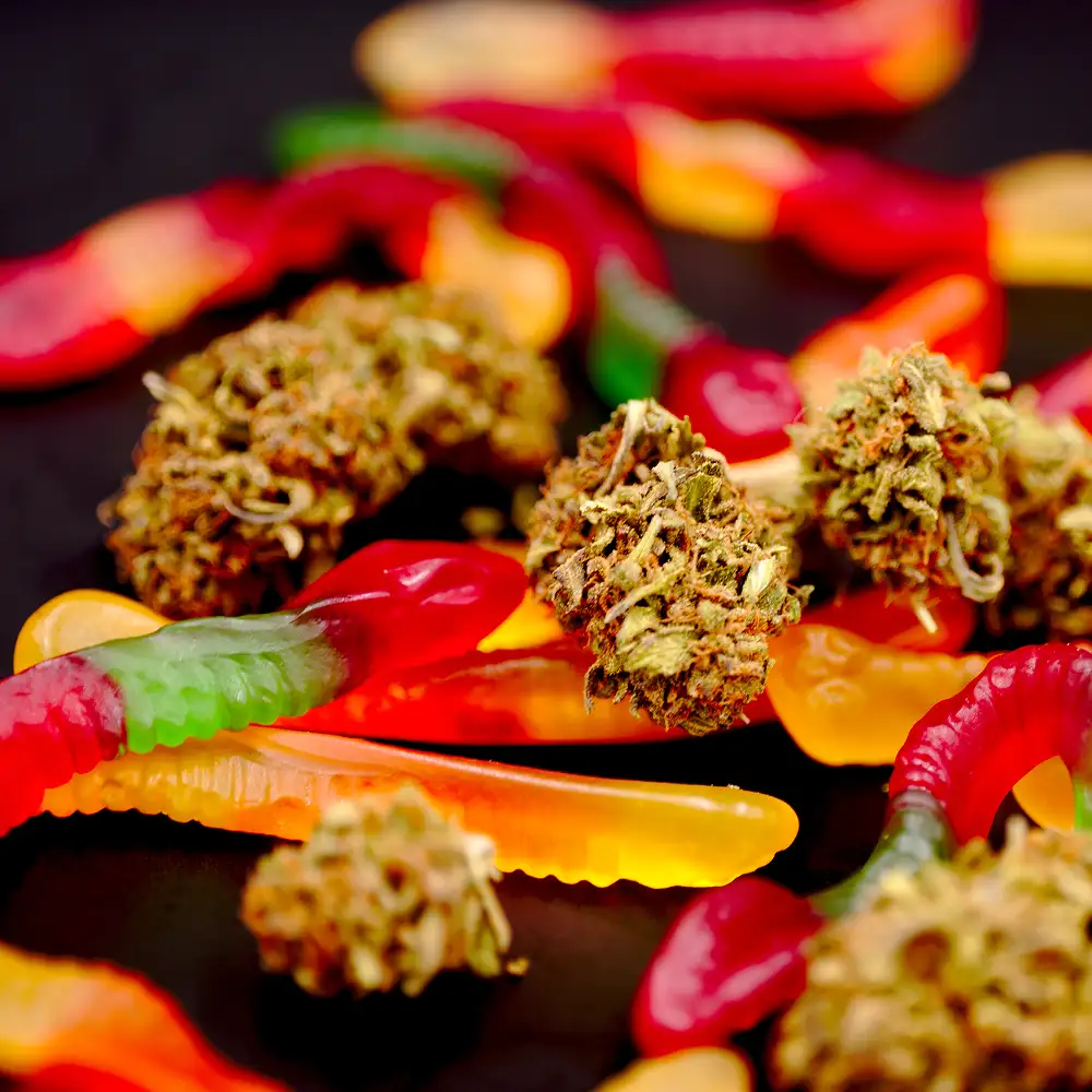 Gummies Sommeil CBD + CBN